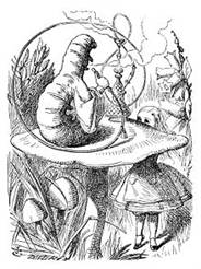 alice in wonderland