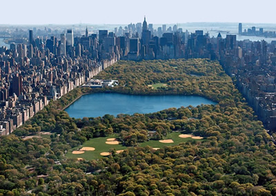 Central Park Picture